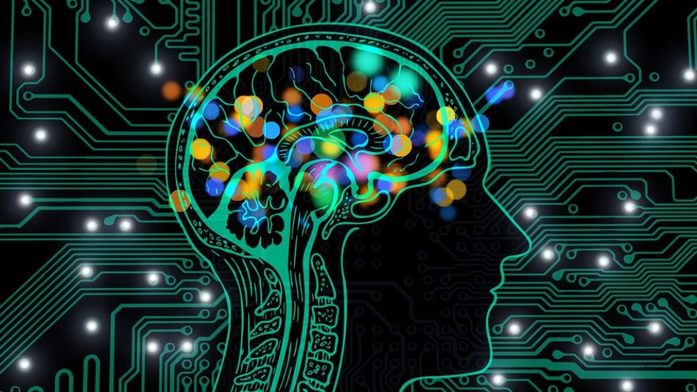 Pro Se Litigants in Neural Interface Privacy Breaches: Drafting Brain Data Suits