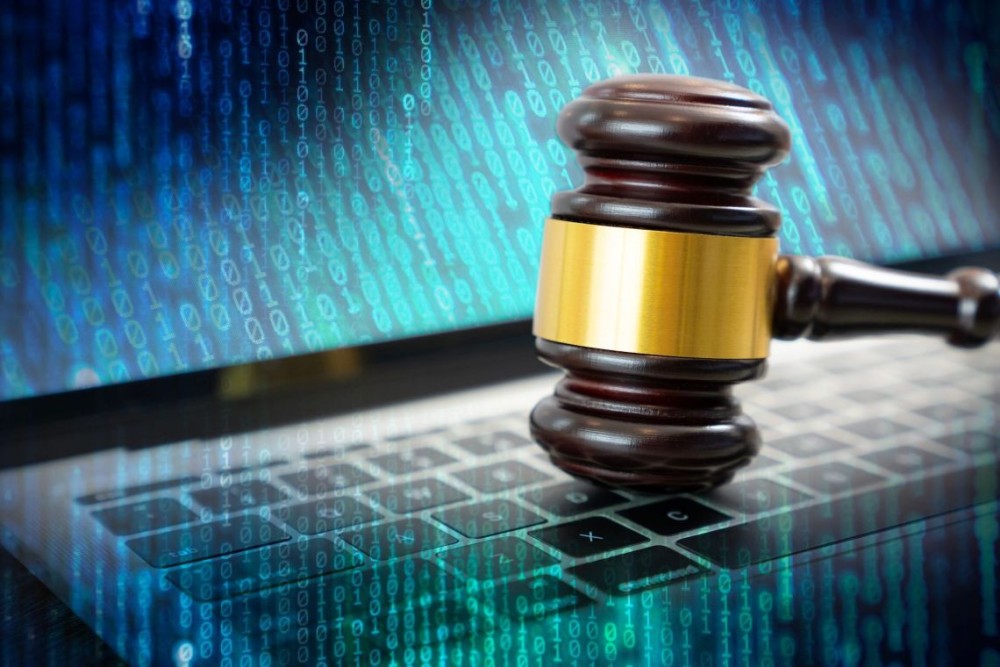 Empowering Pro Se Litigants in Singularity AI Disputes: Drafting Sentience Rights Petitions
